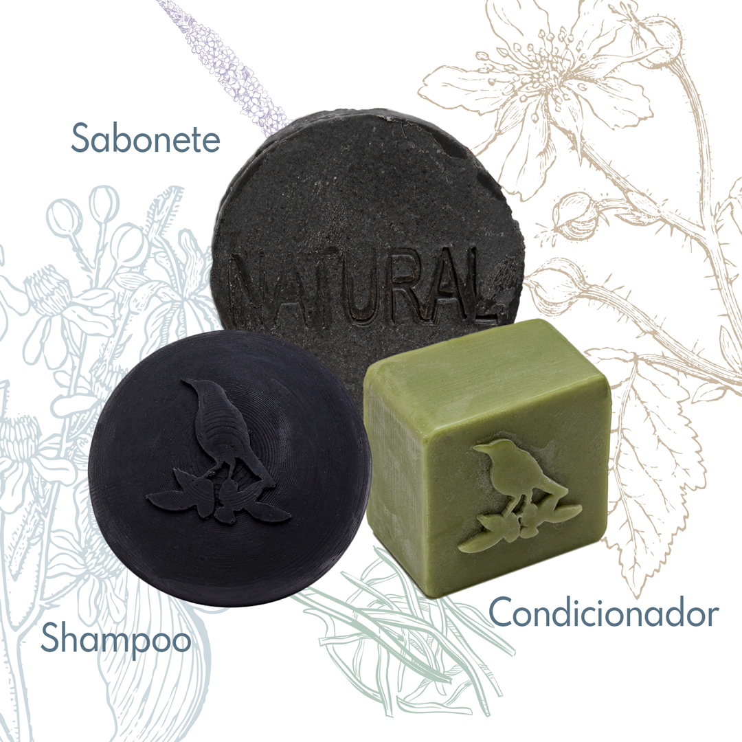 Kit Sólidos De La Terre
