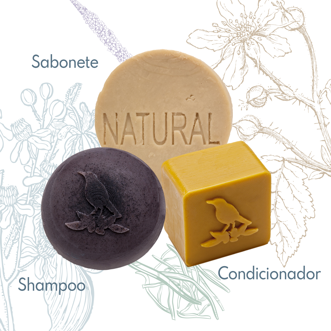 Kit Sólidos De La Terre