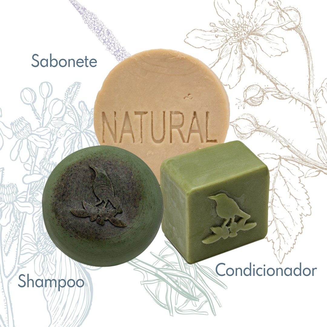 Kit Sólidos De La Terre