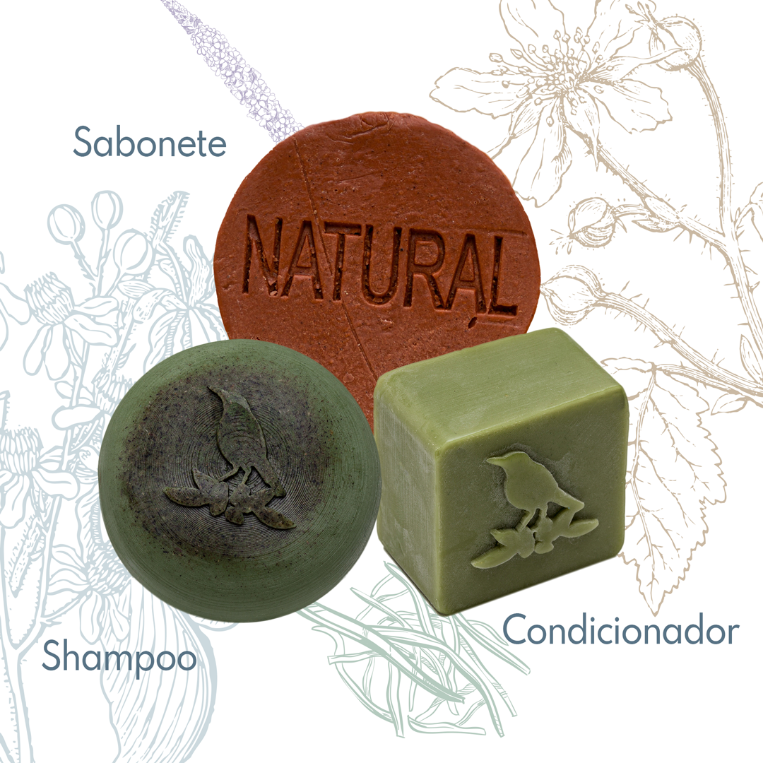 Kit Sólidos De La Terre