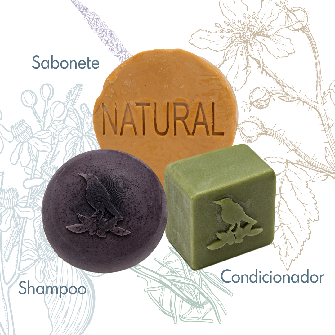 Kit Sólidos De La Terre