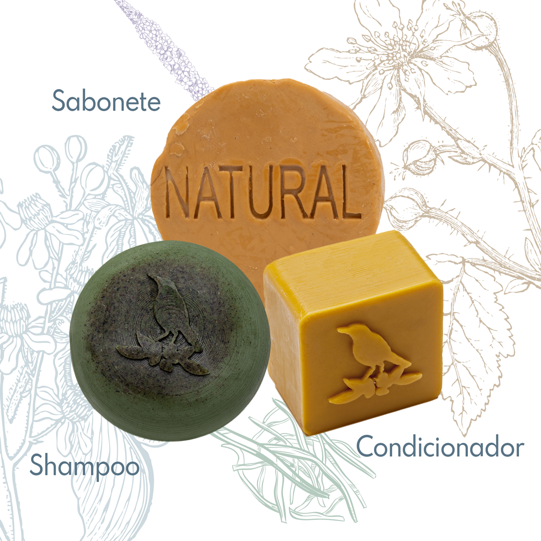 Kit Sólidos De La Terre