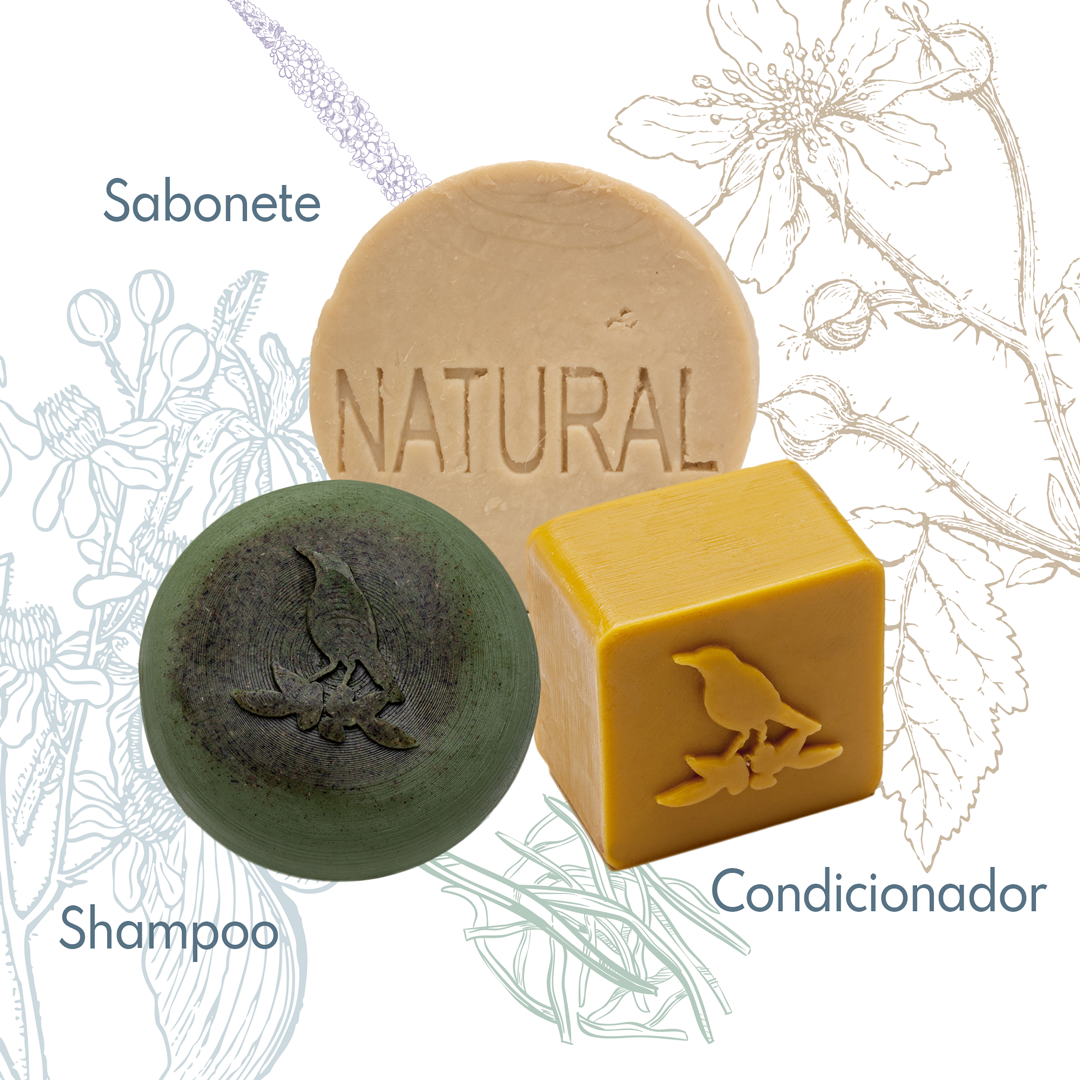 Kit Sólidos De La Terre