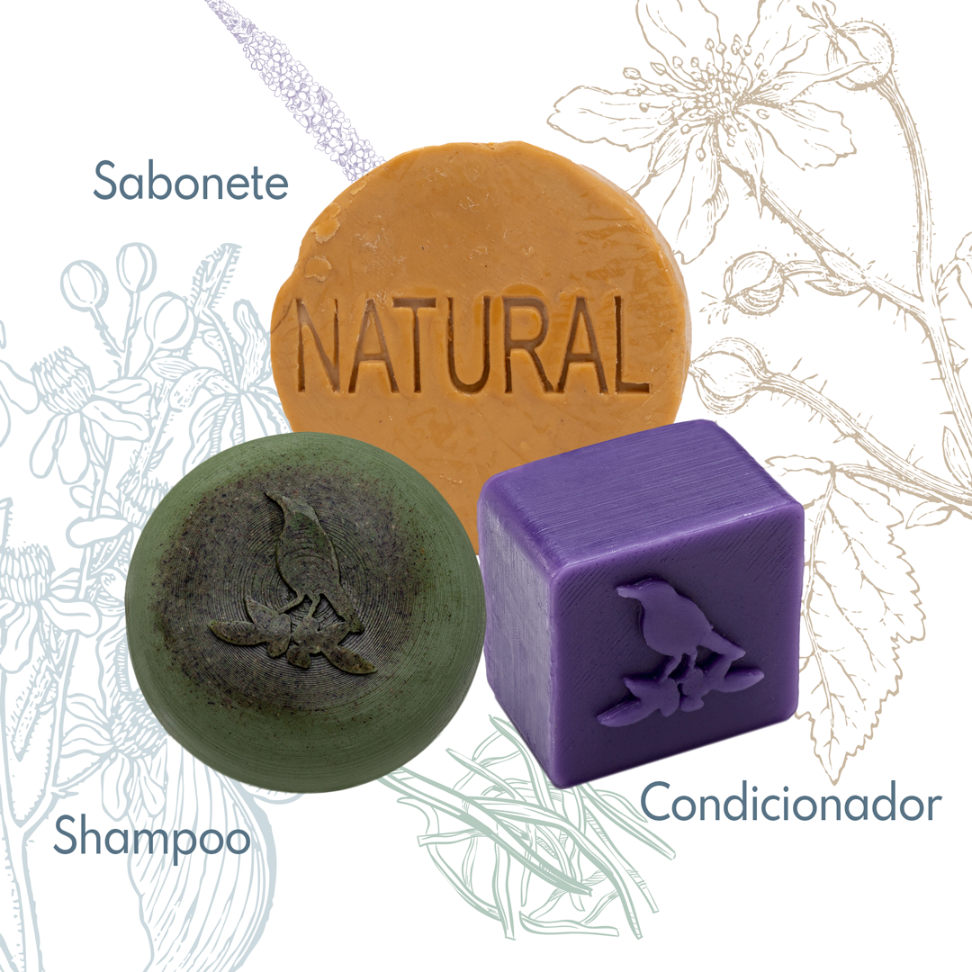 Kit Sólidos De La Terre